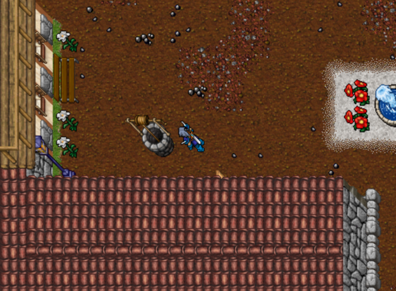 Foto do poço que dá acesso à dungeon. Comprar 3940 não exige atravessar os teleports da parte profunda.