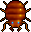 bug