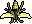 wasp